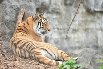 動物園