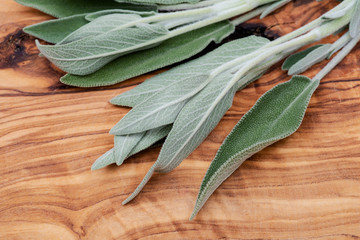 Obraz premium Fresh Organic Garden or Common Sage (Salvia officinalis) leaves on natural olive wood. Lamiaceae mint family. 