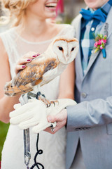 bride and groom holding barn owl © aprilante