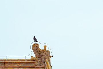 a crow standing on Imperial yellow roof decorations with copy space