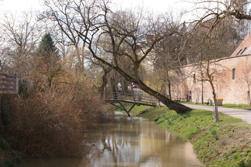 fluss baum frühling himmel 