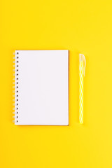 Notebook, and pen on a bright yellow background.Accessories office concept.Business Idea. Time to school.Top View.Flat Lay. Copy space for Text.