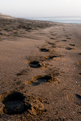 footprints in sand
