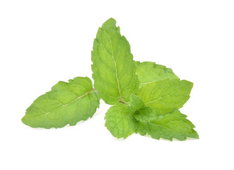 Mint leaves isolated on white background.