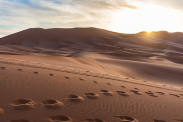 Fototapeta na wymiar Sunrise in the Sahara Desert with Sand Dunes