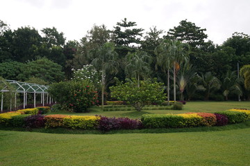 Obraz premium View of a park near Bacolod City, Philippines