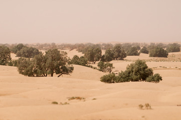 Wüstenlandschaft in Marokko