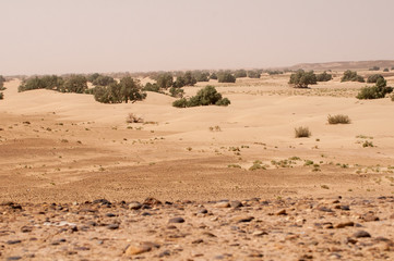 Wüstenlandschaft in Marokko