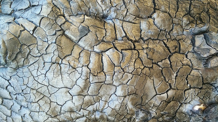 Image background texture of burnt wood.