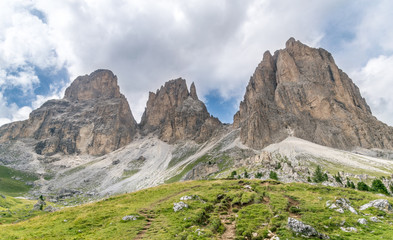 Fototapeta na wymiar Pendici del Sassolungo visto dalla Val di Fassa