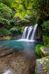 Obraz na płótnie Canvas Waterfall in green forest, Japan, vertical