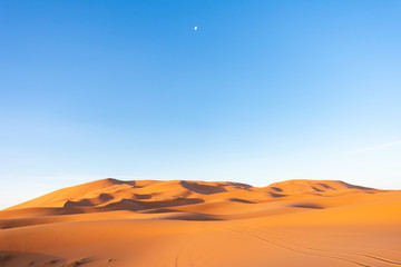 Fototapeta na wymiar Sand Dunes in the Sahara Desert during the Morning with the Moon in the Sky