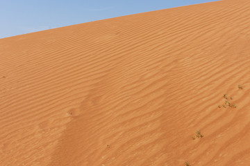 Rippling Sand dunes in the blue sky in Ras al Khaimah, United Arab Emirates near Dubai.