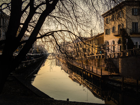 Canal milano tree dusk