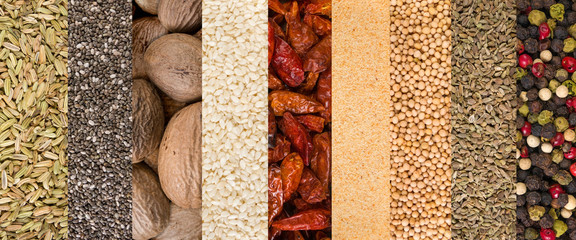 Collage set of various spices and food ingredients