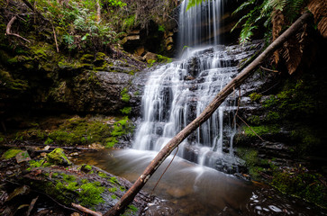 Waterfall in the jungle of Tasmania, Australia