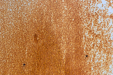 Old rusty iron metal background plate texture