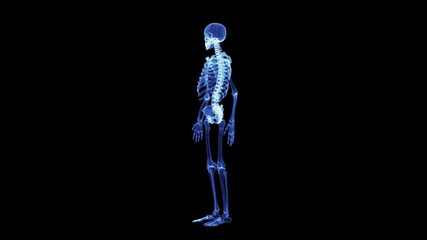 The hologram of a rotating particle skeleton. 3D animation of human skeleton on a black background with a seamless loop