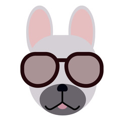 cool french bulldog wearing sunglasses simple art geometric illustration