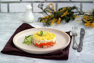 Traditional Russian salad Mimosa with boiled pink salmon, carrots, onions and eggs on a gray concrete background. Served on ceramic plates, decorated with sliced fresh cucumber