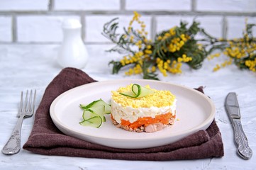 Traditional Russian salad Mimosa with boiled pink salmon, carrots, onions and eggs on a gray concrete background. Served on ceramic plates, decorated with sliced fresh cucumber