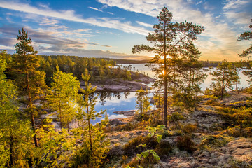 Sunrise in the wild. Dawn. Nature of Karelia. Pine on the shore of Lake Ladoga. Travel to Russia. Republic of Karelia. Islands. Northern nature. The sun above the water.