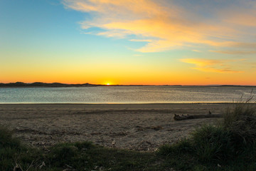 beautiful sunset at the beach in Fortrose, The Catlins, South Island, New Zealand