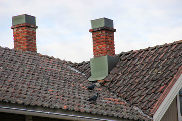 red tile roof with the birds on it and chimney made from red brick