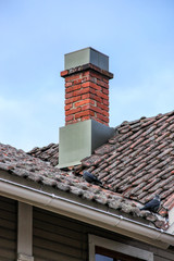 red tile roof with the birds on it and chimney made from red brick