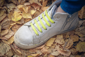 Leg of child with baby sneakers and green laces for running on yellow leaves on an autumn day.