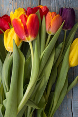 a bouquet of colored beautiful tulips on a wooden background