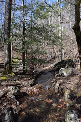 Small mountain stream in Ouachita National Forest Arkansas