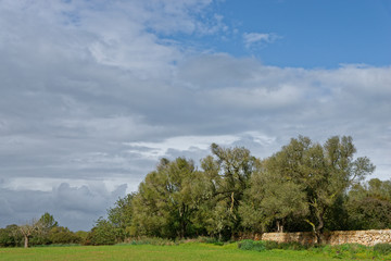 Landschaft bei Finca Son Real, Mallorca, Spanien