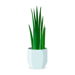 Home Plant in Pot Flat Illustration, Isolated. Decorative Indoor Cartoon Flowerpot Exotic Flora. Domestic Horticulture. Natural Exotic Window or Interior Decoration. Office or Houseplant.
