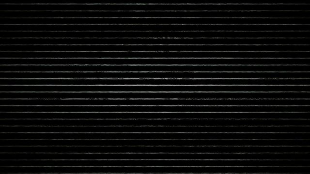 Glitch Noise Tv Screen Lines Black And White Background Motion