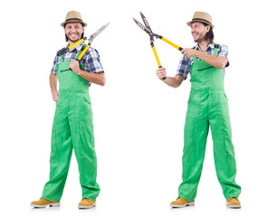 Male gardener isolated on white