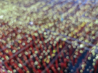 Colorful abstract bokeh lights  background.