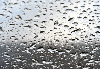 Rain Water Drops on a Glass Window