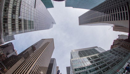 Bank of America Tower in Midtown Manhattan and surrounding buildings, wide angle upward view, New...