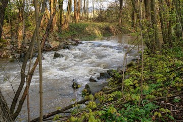 River Juhyne after the spring rain. Moravia. Europe. 