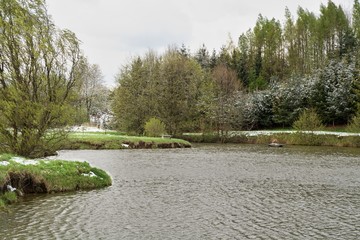 Spring is full of snow. The pond loucka.  Moravia. Europe. 