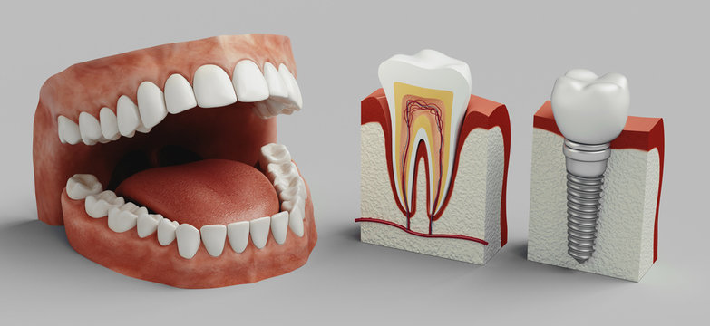 Dental care, 3d rendering