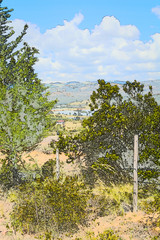 Color sketches taken with a nikon d5200, in the town of Nemoc&oacute;n, Cundinamarca -Bush Vereda Mogu&aacute;.