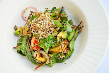 fresh vegetable salad