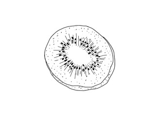 Colorless realistic linear illustration of a kiwi