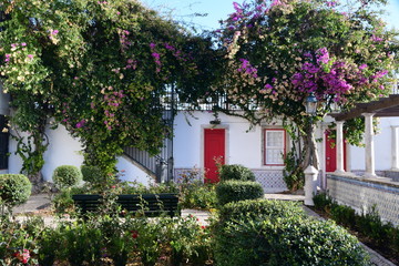 Fototapeta na wymiar house with flowers