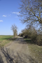 Obraz premium nature