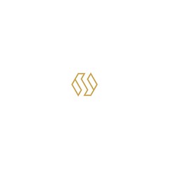 logo hexagon S abstract