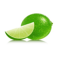Lime isolated on white background. Vector illustration.