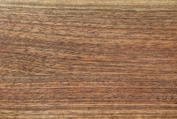 Background of wood texture of walnut